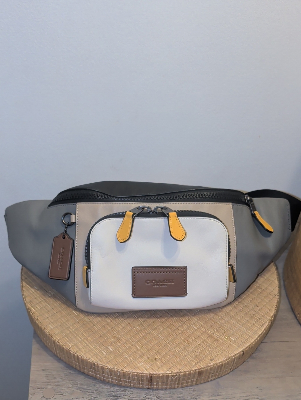 Coach Men's Multicolor Leather Belt Bag - Gray, White & Yellow